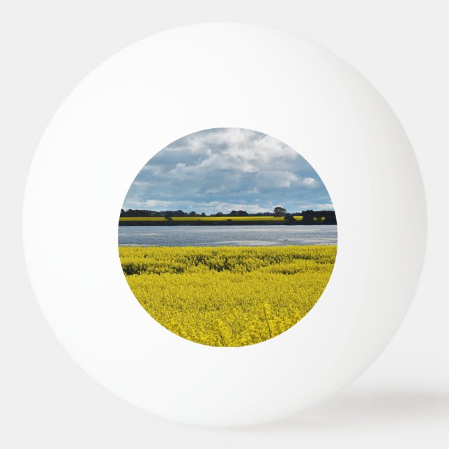 Bolinha De Ping Pong Bela Streatham Dramática (Frente)