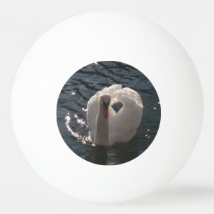 Bolinha De Ping Pong Belo cisne branco
