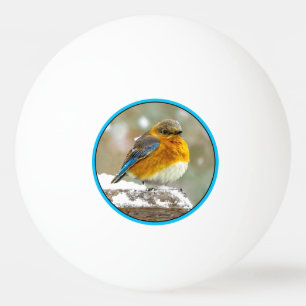 Bolinha De Ping Pong Bluebird oriental na neve - Foto original