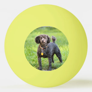Bolinha De Ping Pong Bonjour