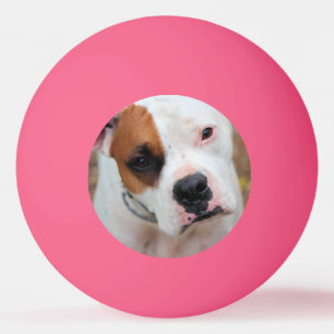 Bolinha De Ping Pong Boop