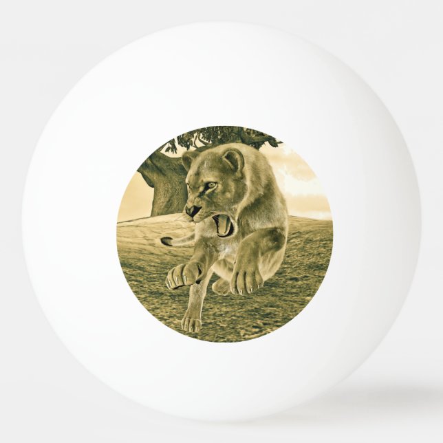 Bolinha De Ping Pong Caça à ionidade (Frente)