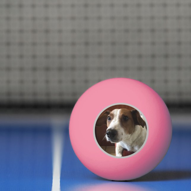 Bolinha De Ping Pong Cães (Líquido)