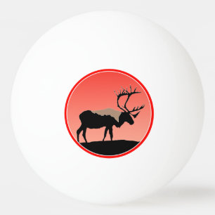 Bolinha De Ping Pong Caribe no Sunset - Arte original sobre a vida selv