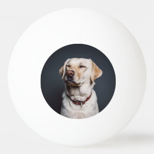 Bolinha De Ping Pong Carregar a sua fotografia