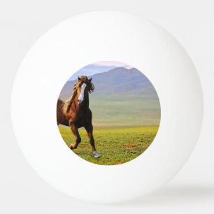 Bolinha De Ping Pong Cavalo