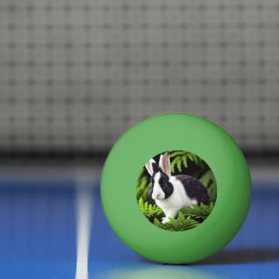 Bolinha De Ping Pong "Charme Clássico: O Coelho Negro e Branco"