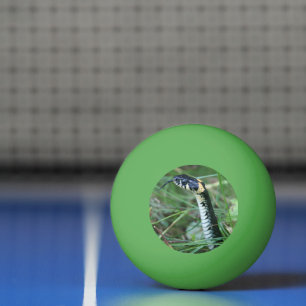 Bolinha De Ping Pong Cobra