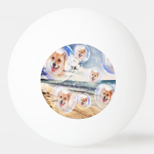 Bolinha De Ping Pong Corgis da praia
