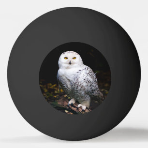 Bolinha De Ping Pong Coruja de neve majestosa no inverno