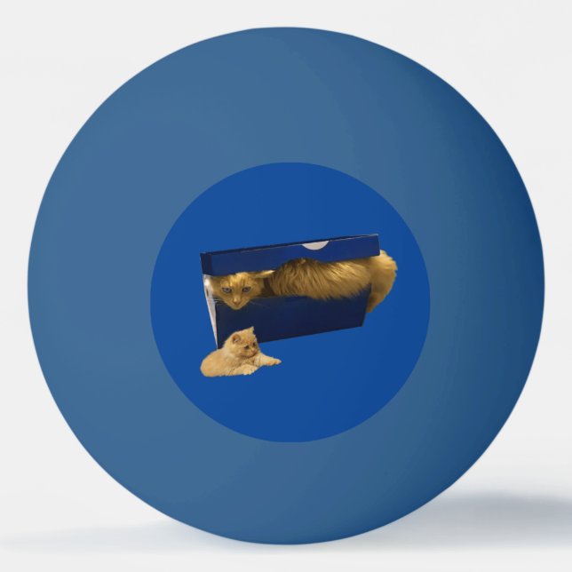 Bolinha De Ping Pong "Cozy Hideaway: O Gengibre na caixa do Calçado" (Frente)