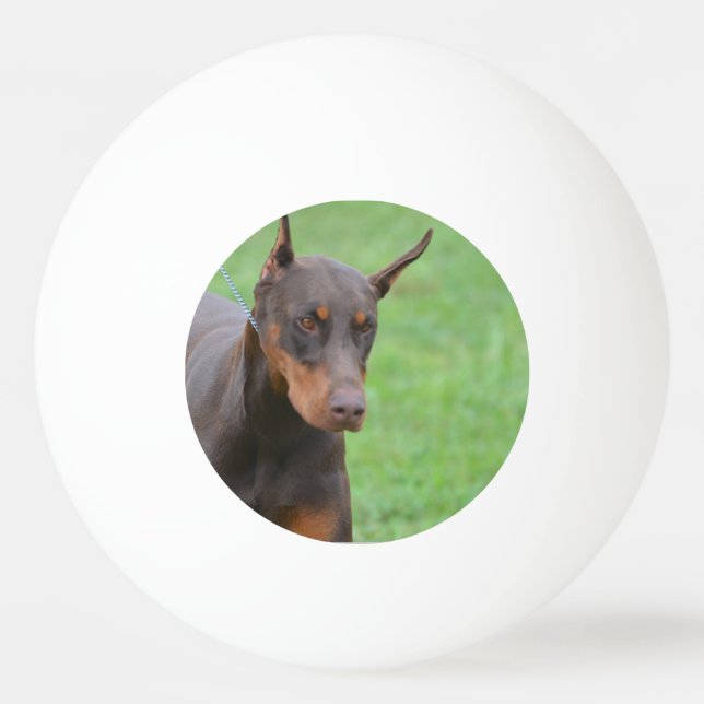 Bolinha De Ping Pong Doberman (Frente)