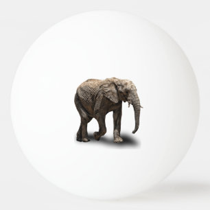 BOLINHA DE PING PONG ELEFANTE