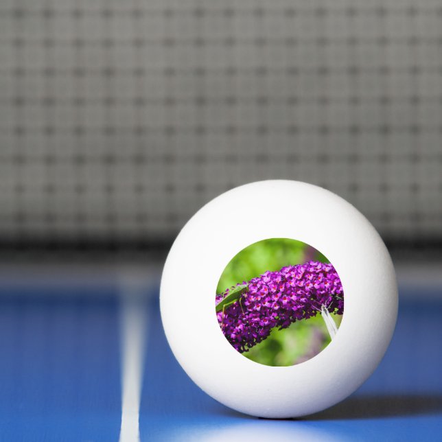 Bolinha De Ping Pong energia katydid (Líquido)