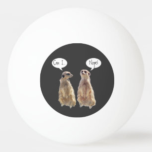 Bolinha De Ping Pong Engraçados e bonitos meerkats na conversa