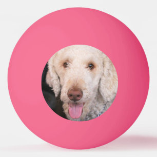 Bolinha De Ping Pong Felpudo