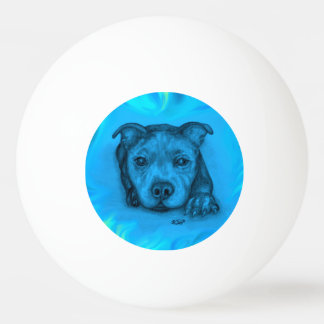 Bolinha De Ping Pong Filhote Staffy Azul