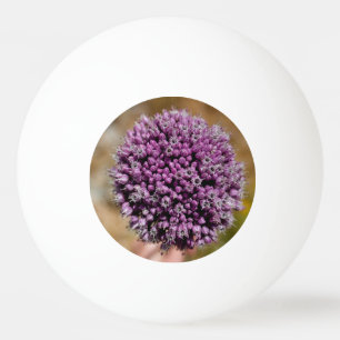 Bolinha De Ping Pong Flor selvagem