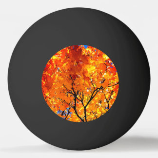 Bolinha De Ping Pong Folhas de laranja