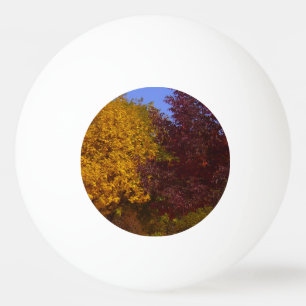 Bolinha De Ping Pong Folhas de outono de Amarelo e Roxo, ZSSPG