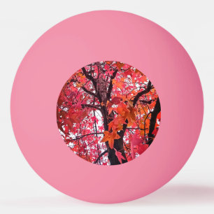 Bolinha De Ping Pong Folhas rosa