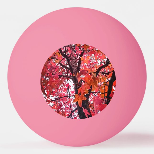 Bolinha De Ping Pong Folhas rosa (Frente)