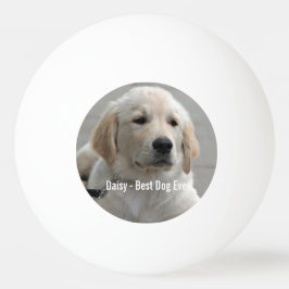 Bolinha De Ping Pong Foto e nome do cão de retenção do Ouro personaliza