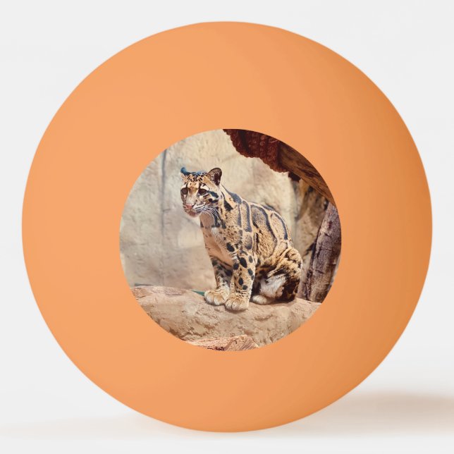 Bolinha De Ping Pong foto-leopardo nublada natureza vida selvagem exóti (Frente)