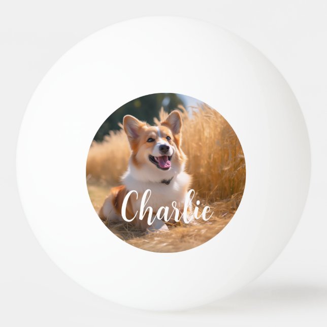 Bolinha De Ping Pong Foto Pet Personalizada (Frente)