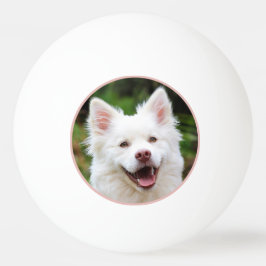 Bolinha De Ping Pong Foto Pet Personalizada