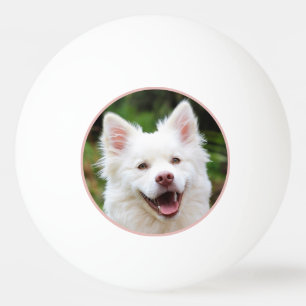 Bolinha De Ping Pong Foto Pet Personalizada