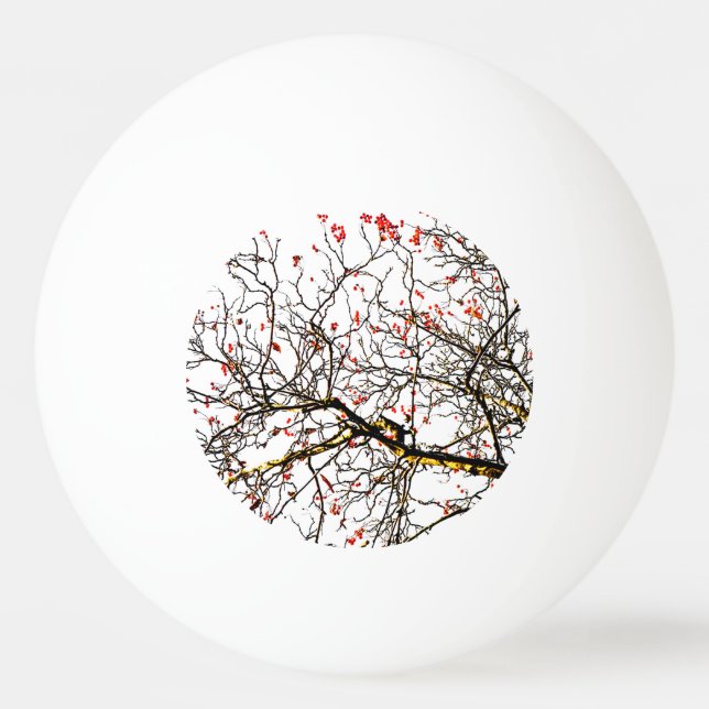 Bolinha De Ping Pong Frutas ruivas ou amoras de cinzas (Frente)