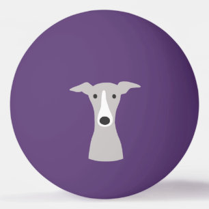 Bolinha De Ping Pong Galgo Grego, Galgo Grego italiano ou Cão Beijo