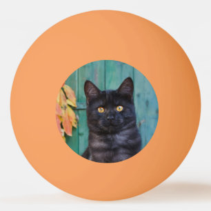 Bolinha De Ping Pong Gatinho Gato Preto Cachorro com Folhas Vermelhas P