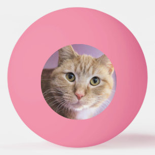 Bolinha De Ping Pong Gato