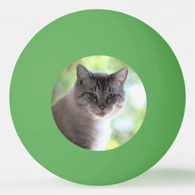 Bolinha De Ping Pong Gato (Frente)