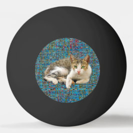 Bolinha De Ping Pong Gato bonito sobre fundo de abstrato