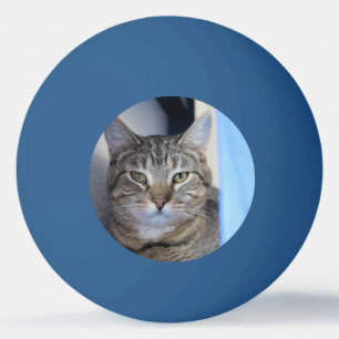 Bolinha De Ping Pong Gato Ping Pong Ball