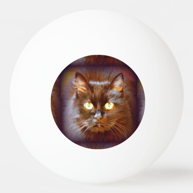 Bolinha De Ping Pong gato preto (Verso)