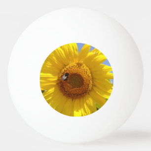 Bolinha De Ping Pong Girassol Amarelo