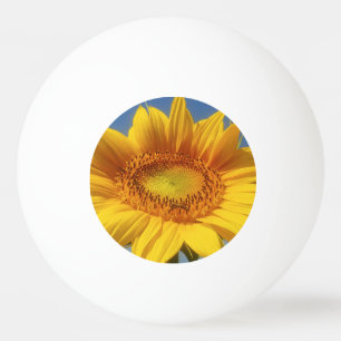 Bolinha De Ping Pong Girassol Amarelo