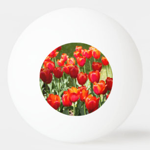Bolinha De Ping Pong Grande campo de tulipas vermelhas