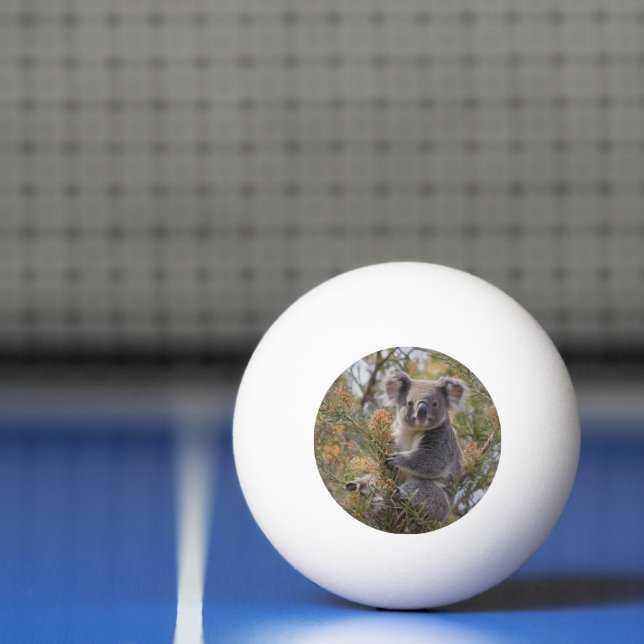 Bolinha De Ping Pong Grevillea Koala Bear (Líquido)