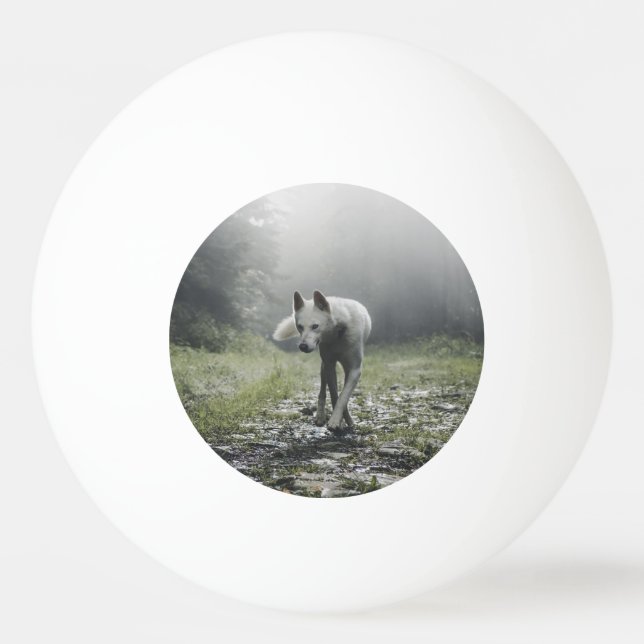 Bolinha De Ping Pong Husky Siberiano Branco (Frente)