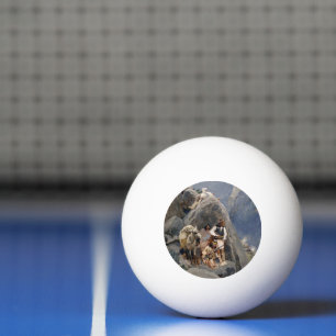 Bolinha De Ping Pong Ícones Nativos Americanos: Guerreiros Apache, Cava