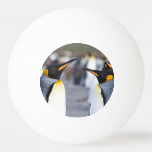 Bolinha De Ping Pong King Penguins