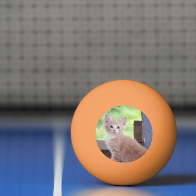 Bolinha De Ping Pong Kitten (Líquido)
