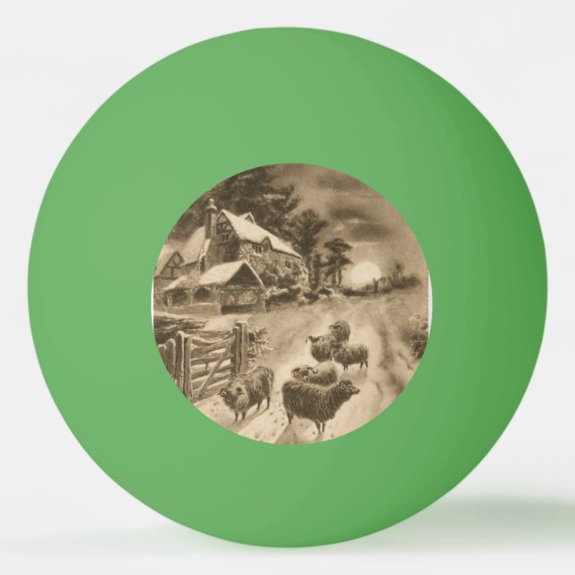 Bolinha De Ping Pong Lamb (Frente)