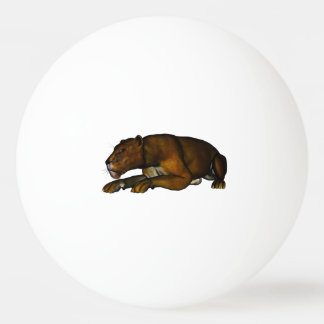 Bolinha De Ping Pong Löwe