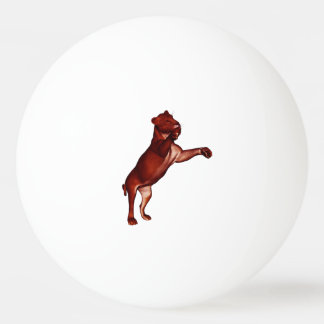 Bolinha De Ping Pong Löwe